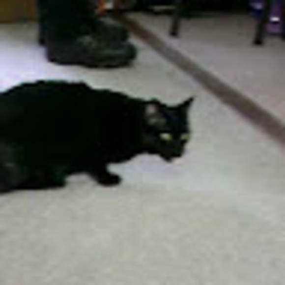 franciepants13